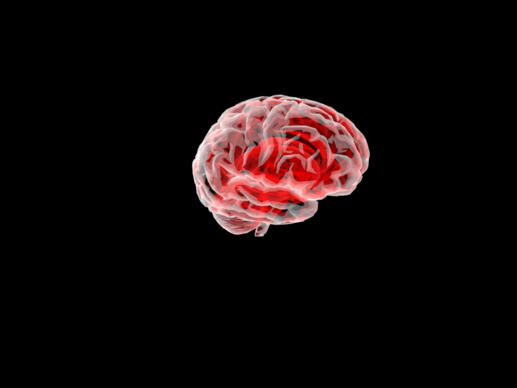 دانلود پروژه طراحی مغز انسان