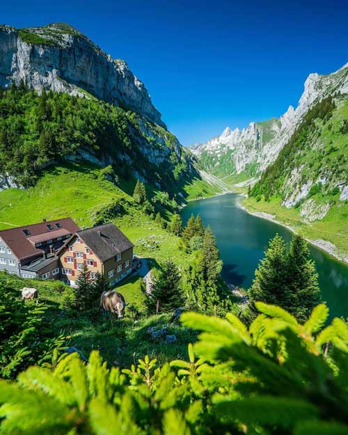 دانلود پروژه عکاسی طبیعت فالنسی سوئیس | پروجکت دانلود