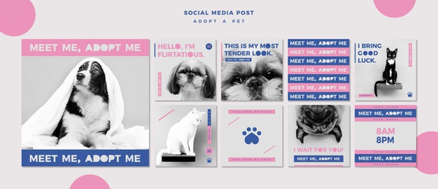 دانلود پروژه طراحی قالب لایه باز پست اینستاگرام حیوان خانگی