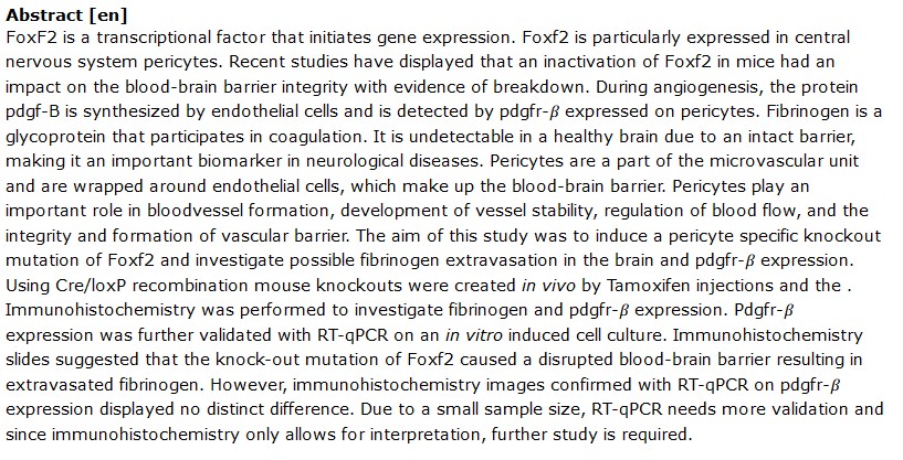 دانلود پایان نامه : بررسی تجمع فیبرینوژن با حذف پری سیت های سیستم عصبی  Foxf2