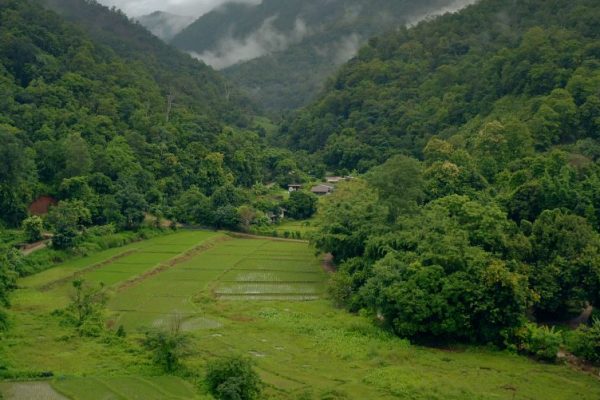 دانلود ویدئو استوک (فیلم خام) ادیت و میکس کلیپ موضوع : طبیعت مزرعه کوه کلبه