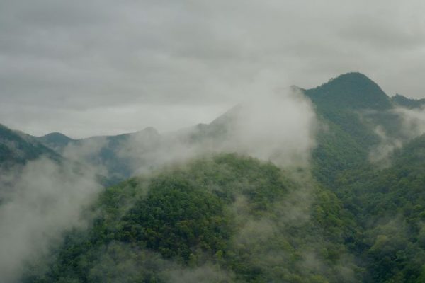 دانلود ویدئو استوک (فیلم خام) ادیت و میکس کلیپ موضوع : طبیعت کوه جنگل مه ابر