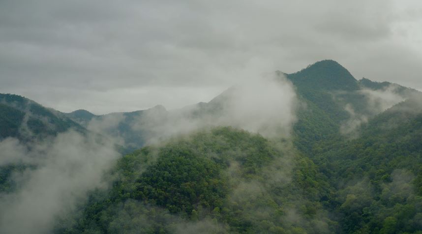 دانلود ویدئو استوک (فیلم خام) ادیت و میکس کلیپ موضوع طبیعت کوه جنگل مه ابر